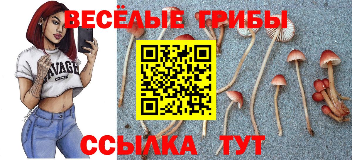 Кизляр  Галлюциногенные грибы MAGIC MUSHROOMS  Вход с VPN 