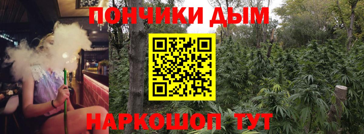 Бошки марихуана Bruce Banner  Бошки Шишки тримм  Кизляр  Бошки Шишки THC 21%  Вход с VPN 
